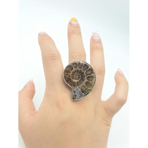 110 - A ring and pair of earrings set with Jurassic Ammonites (163 million years old) from  Madagascar. Pr... 