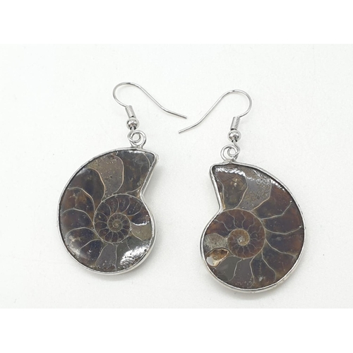 110 - A ring and pair of earrings set with Jurassic Ammonites (163 million years old) from  Madagascar. Pr... 