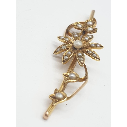 238 - Edwardian 15ct gold and seed pearl bar brooch. 2.6g in weight. 4.5cm wide.