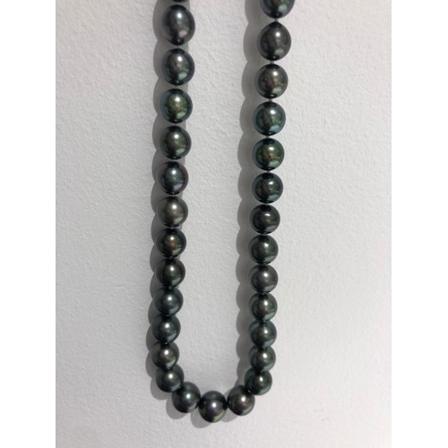 668 - Tahitian pearl necklace graduated; 14k gold clasp and aprox 17