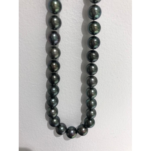 668 - Tahitian pearl necklace graduated; 14k gold clasp and aprox 17