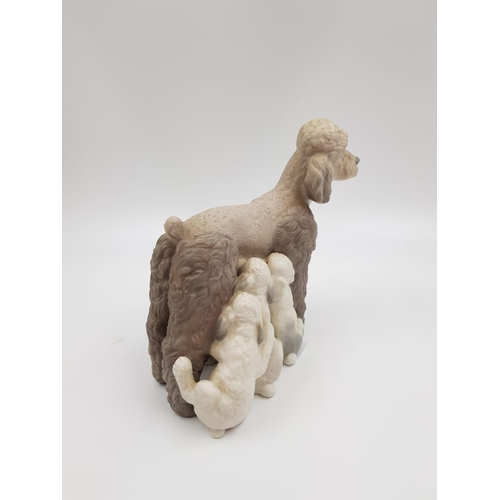 591 - A Lladro porcelain figurine - mother poodle with pups. 14cm high. Good condition.