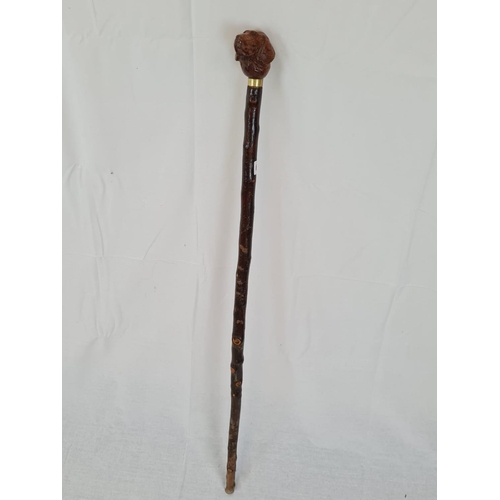 630 - A vintage walking cane with carved wooden Labrador head. 100cm long.