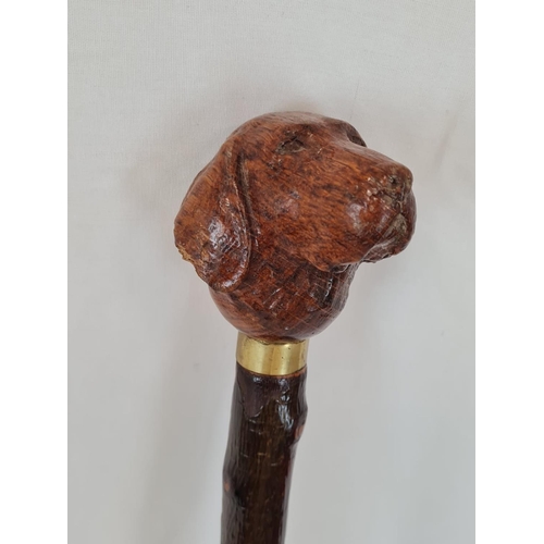 630 - A vintage walking cane with carved wooden Labrador head. 100cm long.