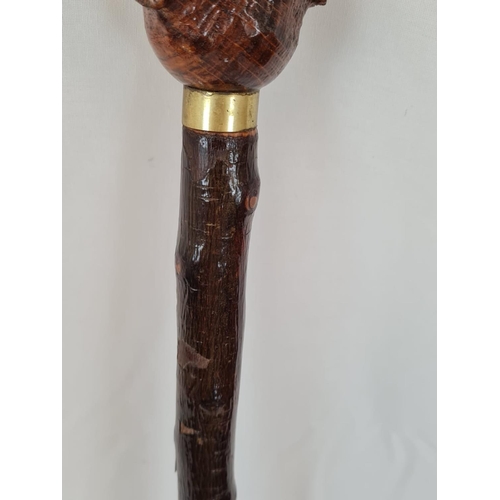 630 - A vintage walking cane with carved wooden Labrador head. 100cm long.