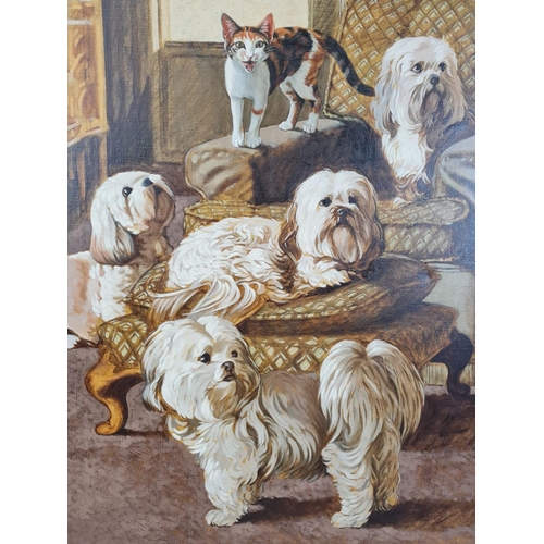 707 - A wonderful oil on canvas fur pet lovers by artist Peter Cooper (signed). 65 x 83 cm.