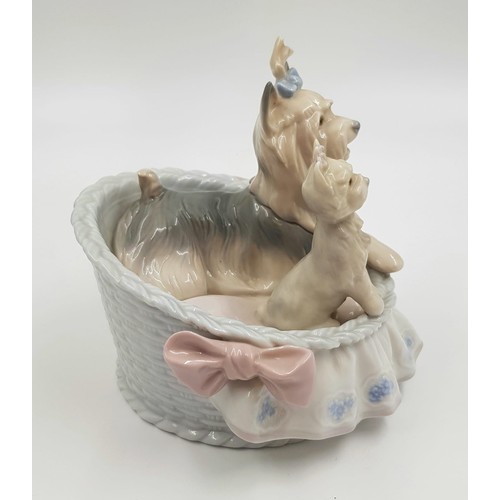 884 - A Lladro porcelain figurine of Terrier dogs in basket. Good condition. 10 x 13cm.