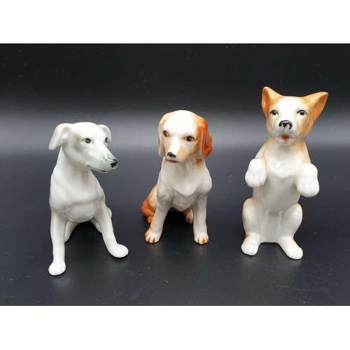 399 - Collection of 14 Playful Puppies ornaments by John Francis. All under 10cm in height. Good colouring... 