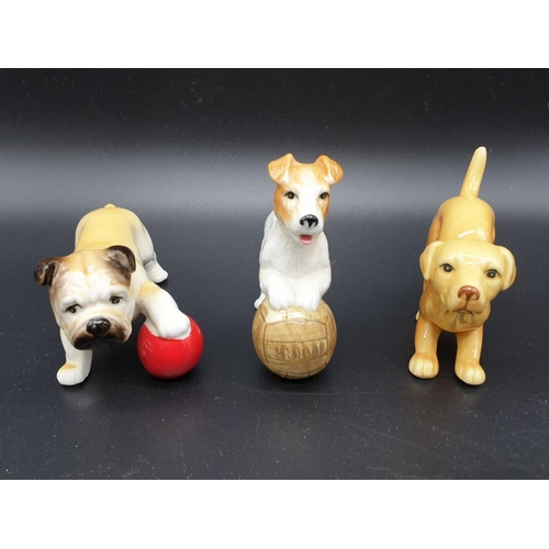 406 - Collection of 14 Playful Puppies ornaments by John Francis. All under 10cm in height. Good colouring... 