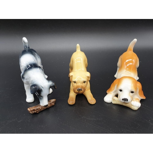 406 - Collection of 14 Playful Puppies ornaments by John Francis. All under 10cm in height. Good colouring... 