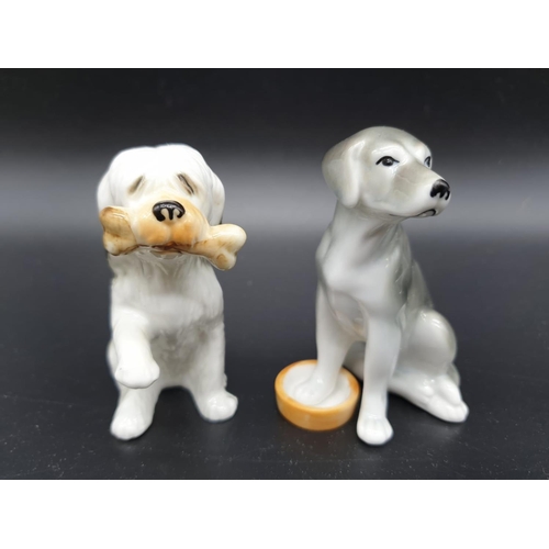 406 - Collection of 14 Playful Puppies ornaments by John Francis. All under 10cm in height. Good colouring... 