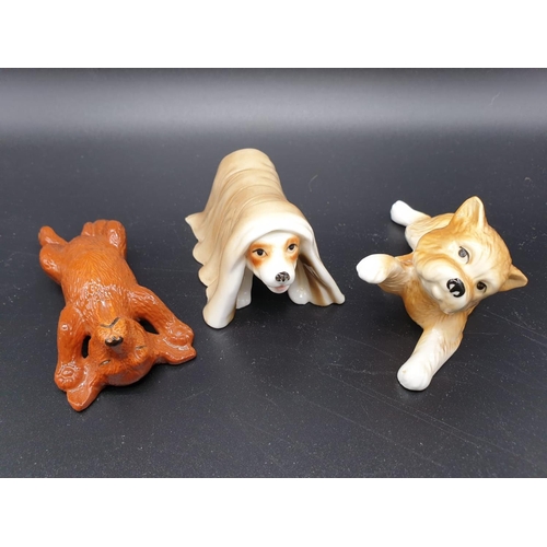 406 - Collection of 14 Playful Puppies ornaments by John Francis. All under 10cm in height. Good colouring... 