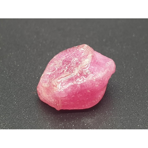 560 - 11.23 Cts Natural Ruby. Rough shape. IGL&I certified