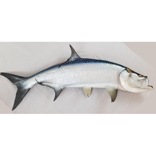 24 - A 6ft Fibreglass replica of a Tarpon (Gamefish). This Silver King was caught in 1993 at the home of ... 