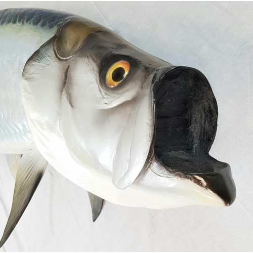 24 - A 6ft Fibreglass replica of a Tarpon (Gamefish). This Silver King was caught in 1993 at the home of ... 