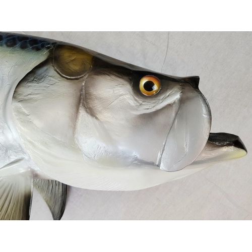 24 - A 6ft Fibreglass replica of a Tarpon (Gamefish). This Silver King was caught in 1993 at the home of ... 