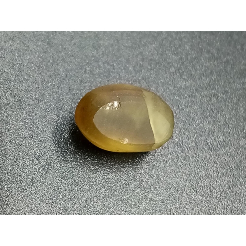 239 - 5.68 Cts Natural Cat's Eye (Apatite). Oval Cabochon. IDT certified