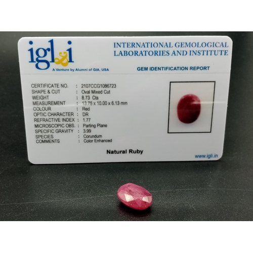 750 - 8.73 Cts Natural Ruby. Oval shape. IGL&I certified