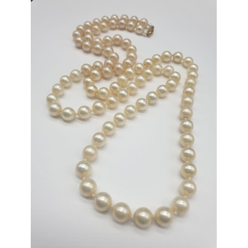 162 - A Belle Epoque Majorca pearl necklace with a 14 carat clasp, on multi silk string with individually ... 