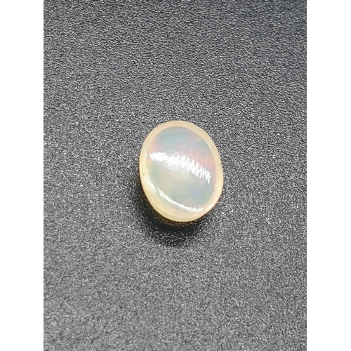 547 - 1.100 Cts Natural Fire Opal. Oval Shape. GLI Certified