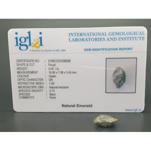 743 - LOT OF 2: 9.87 Cts Natural Rough Green Sapphire + 4.09 Cts Rough Natural Emerald. IGL&I certified