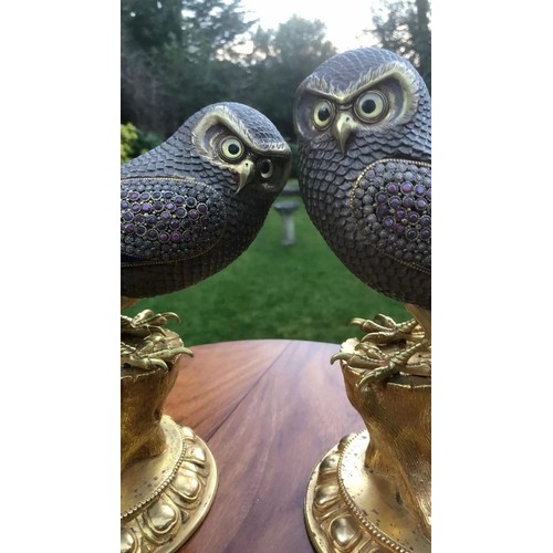 27 - Incredible 20thC pair of beautiful silver and bronze owls set with malachite ,Lapis lazuli and Ruby ... 