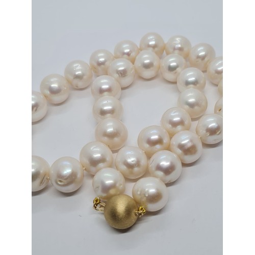 687 - Fresh water Graduated Pearl NECKLACE with 9ct Gold Clasp.  98g     38cm