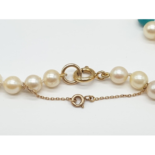 701 - Cultured Pearl and Turquoise NECKLACE with 9ct Gold Clasp.  23g   44cm