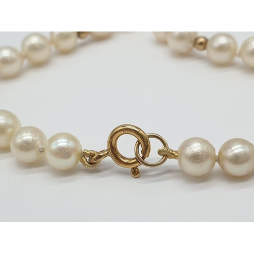 708 - Cultured Pearl 9ct Gold NECKLACE.  23.5g   42cm