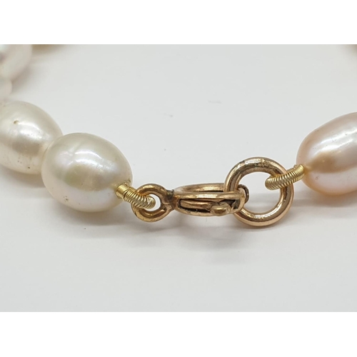 722 - Freshwater Pearl and 9ct Gold NECKLACE.  27.1g   42cm