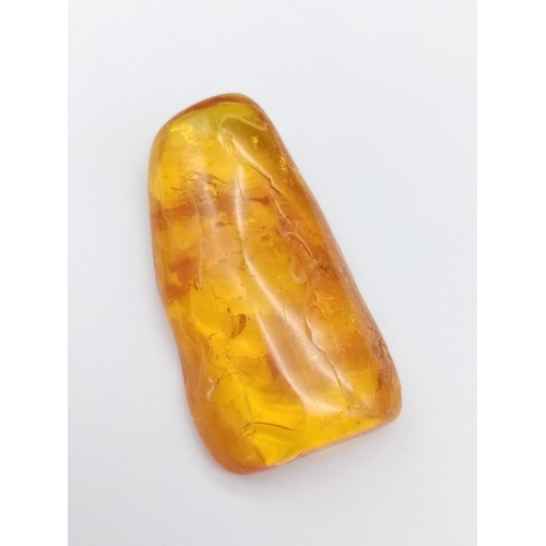 895 - Large amber specimen with insect inside