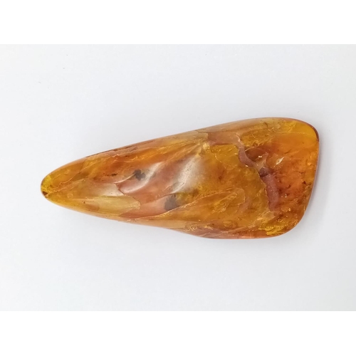 902 - Large amber specimen with insect inside