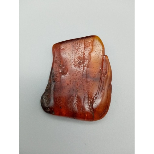 761 - Large amber specimen with insects inside, weight 16g and 55x45mm approx