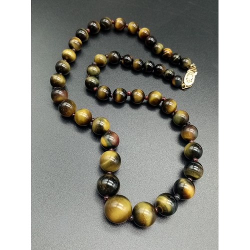 822 - Beautiful gradual tiger's eye beaded necklace in 14k yellow gold clasp, 40cm long approx