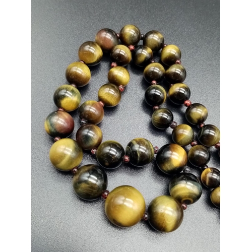 822 - Beautiful gradual tiger's eye beaded necklace in 14k yellow gold clasp, 40cm long approx