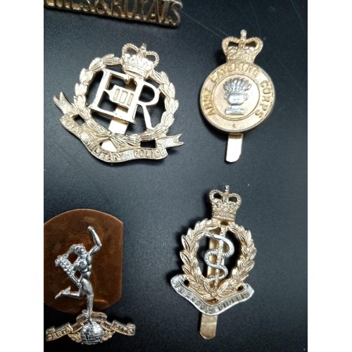 726 - 12 Military Cap and Shoulder Badges, plus one Horse Buckle.