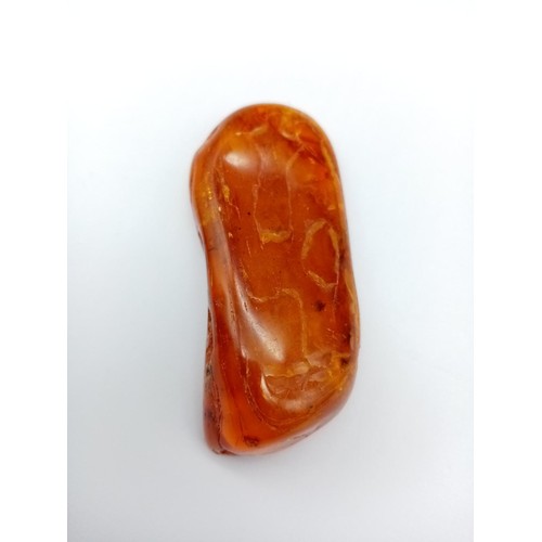 909 - Large amber specimen with insect inside