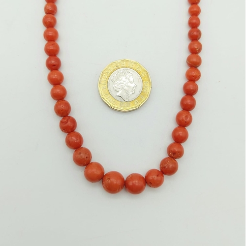 200 - A Vintage Graduated Red Coral Bead Necklace.
44cm.