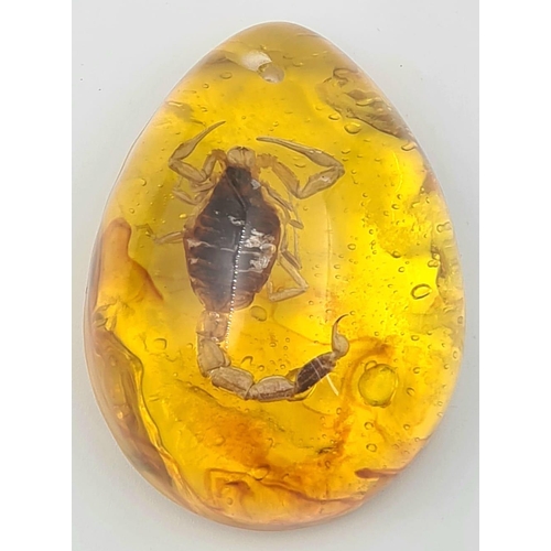 980 - A Scorpion Amber Pendant. 5.5cm