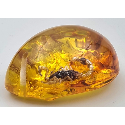 980 - A Scorpion Amber Pendant. 5.5cm