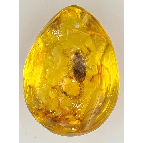 980 - A Scorpion Amber Pendant. 5.5cm