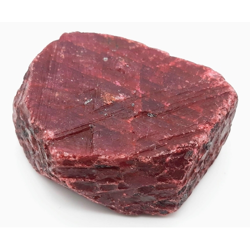 106 - A huge (683.6 carats), totally unspoilt, natural Ruby crystal. This rough specimen is not cut, not p... 