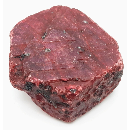 106 - A huge (683.6 carats), totally unspoilt, natural Ruby crystal. This rough specimen is not cut, not p... 