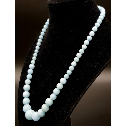 497 - A Graduated Pale Blue Aquamarine Bead Necklace.
14mm largest bead. 44cm