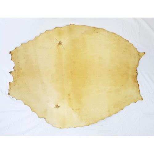 260 - A Vintage Seal-Skin Floor Covering from Newfoundland and Labrador. 100 x 80cm. A/F.