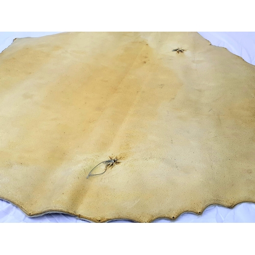 260 - A Vintage Seal-Skin Floor Covering from Newfoundland and Labrador. 100 x 80cm. A/F.