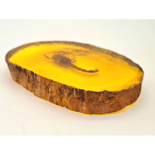 382 - A Large Scorpion Trapped in an Amber-Coloured Slice of Resin. Would make a perfect paperweight. 10cm... 