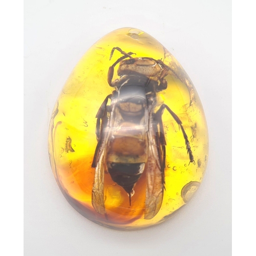 420 - A Large Scary-Looking Hornet Trapped in an Amber-Coloured Resin Pendant.