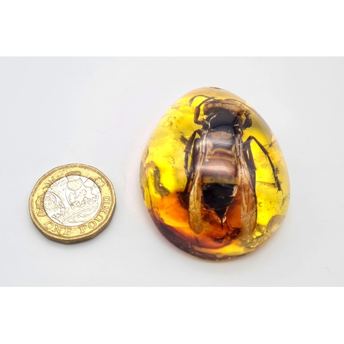 420 - A Large Scary-Looking Hornet Trapped in an Amber-Coloured Resin Pendant.