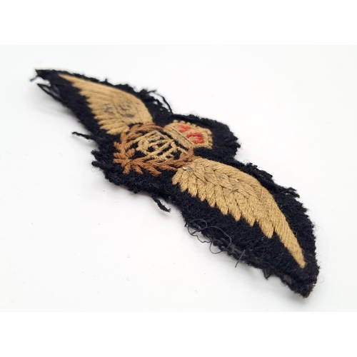 223 - WW2 Canadian RAF Pilots Wing.